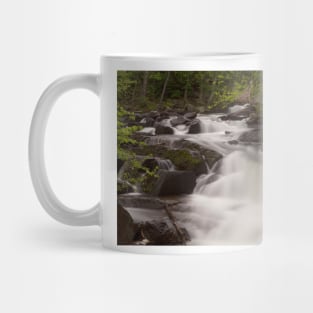 Meech Creek Waterfalls Mug